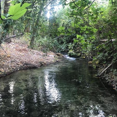 Bosque Alto Βίλα El Bosque Εξωτερικό φωτογραφία
