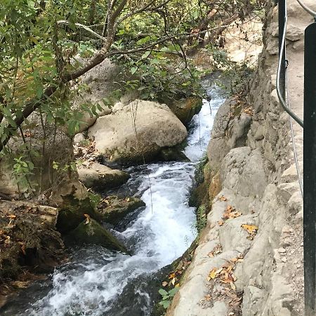 Bosque Alto Βίλα El Bosque Εξωτερικό φωτογραφία