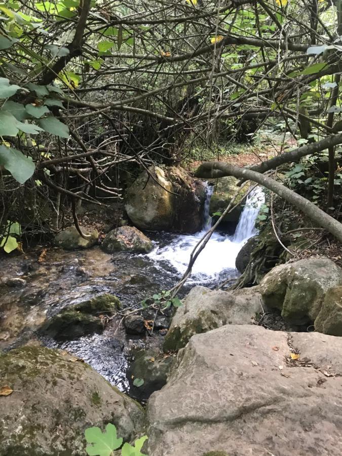Bosque Alto Βίλα El Bosque Εξωτερικό φωτογραφία