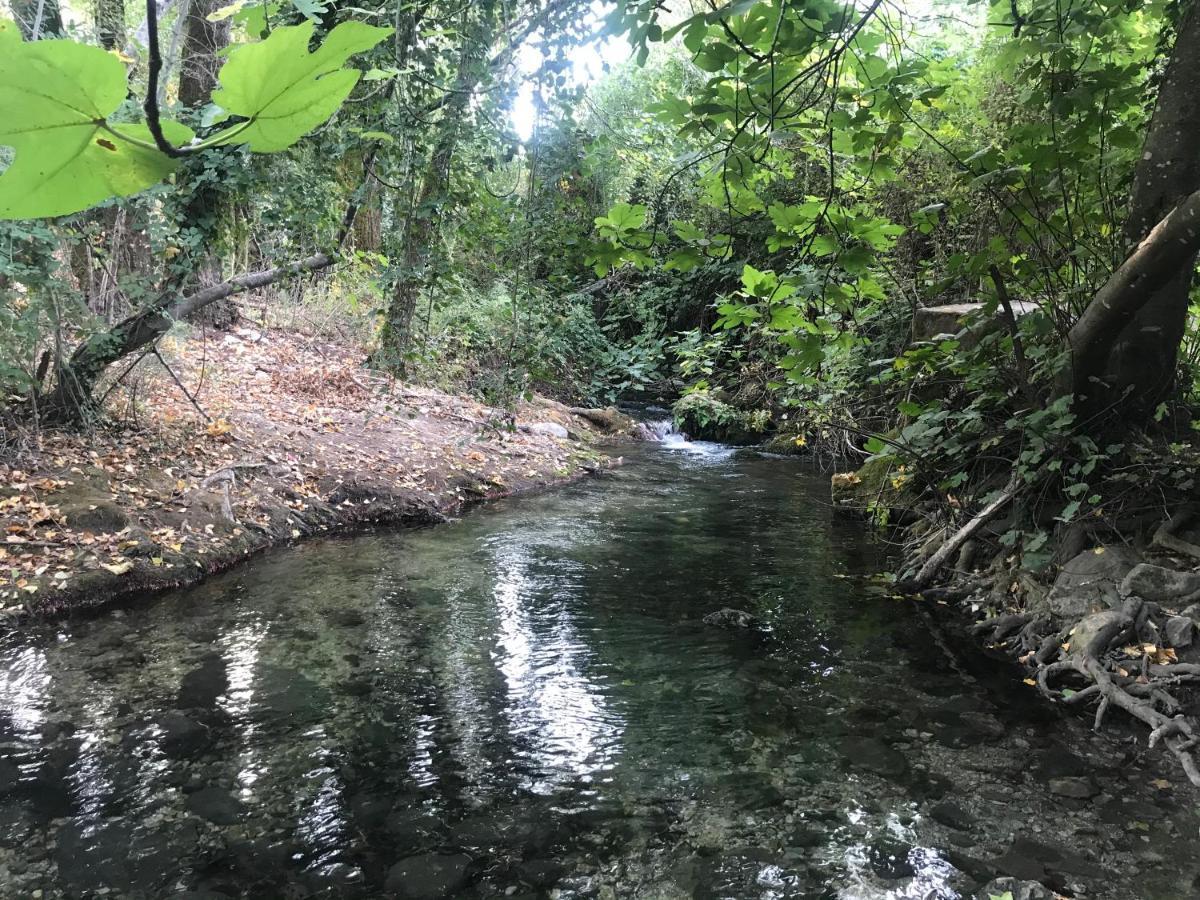 Bosque Alto Βίλα El Bosque Εξωτερικό φωτογραφία
