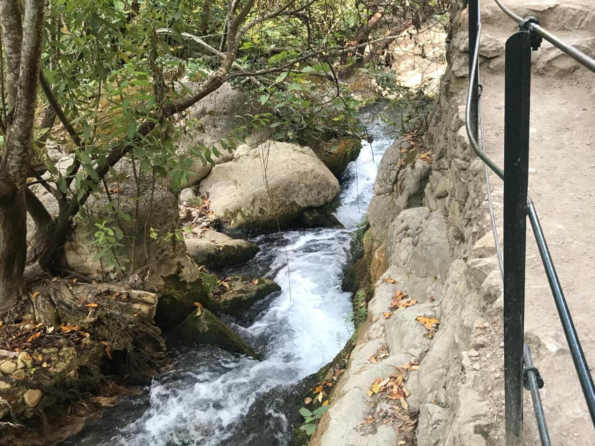 Bosque Alto Βίλα El Bosque Εξωτερικό φωτογραφία